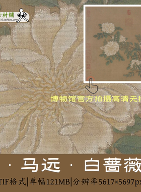 宋 马远 白蔷薇图页/高清古画原图tif馆藏工笔花卉写生临摹素材图