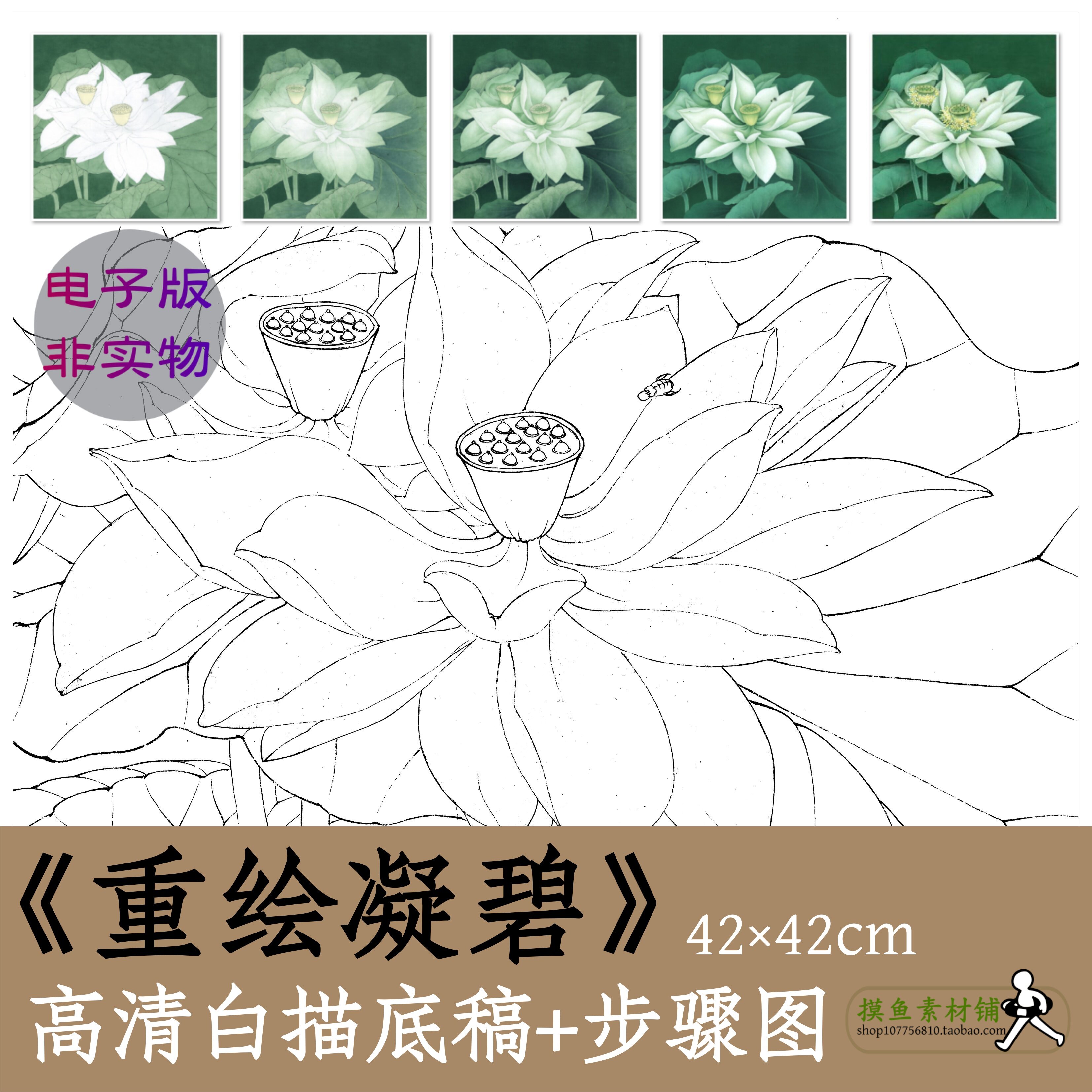 国画荷花图白莲花图高清白描电子底稿带步骤图工笔画重绘凝碧x089