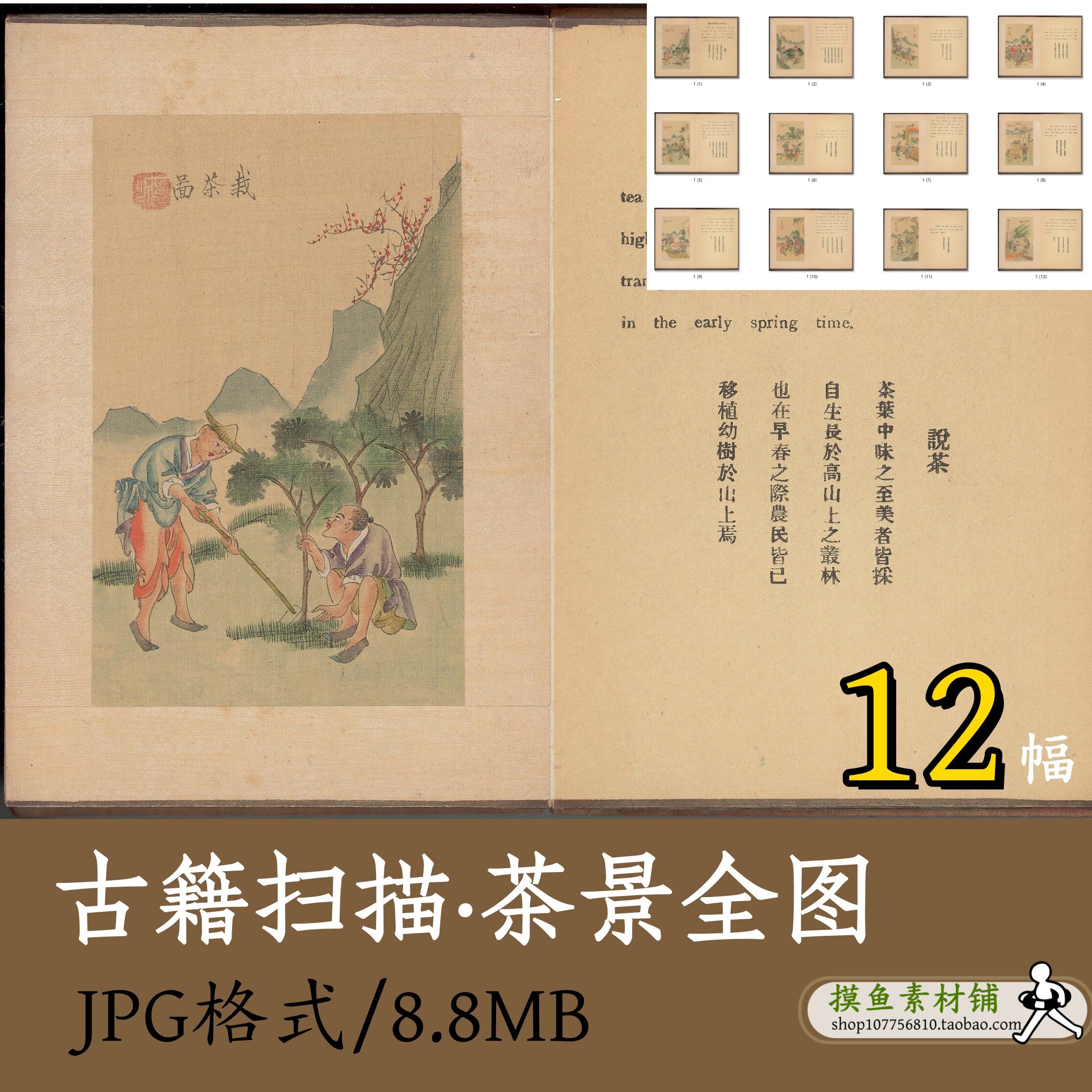 茶景全图/中国古代茶叶生产生活图页采茶制茶卖茶过程记录zc111