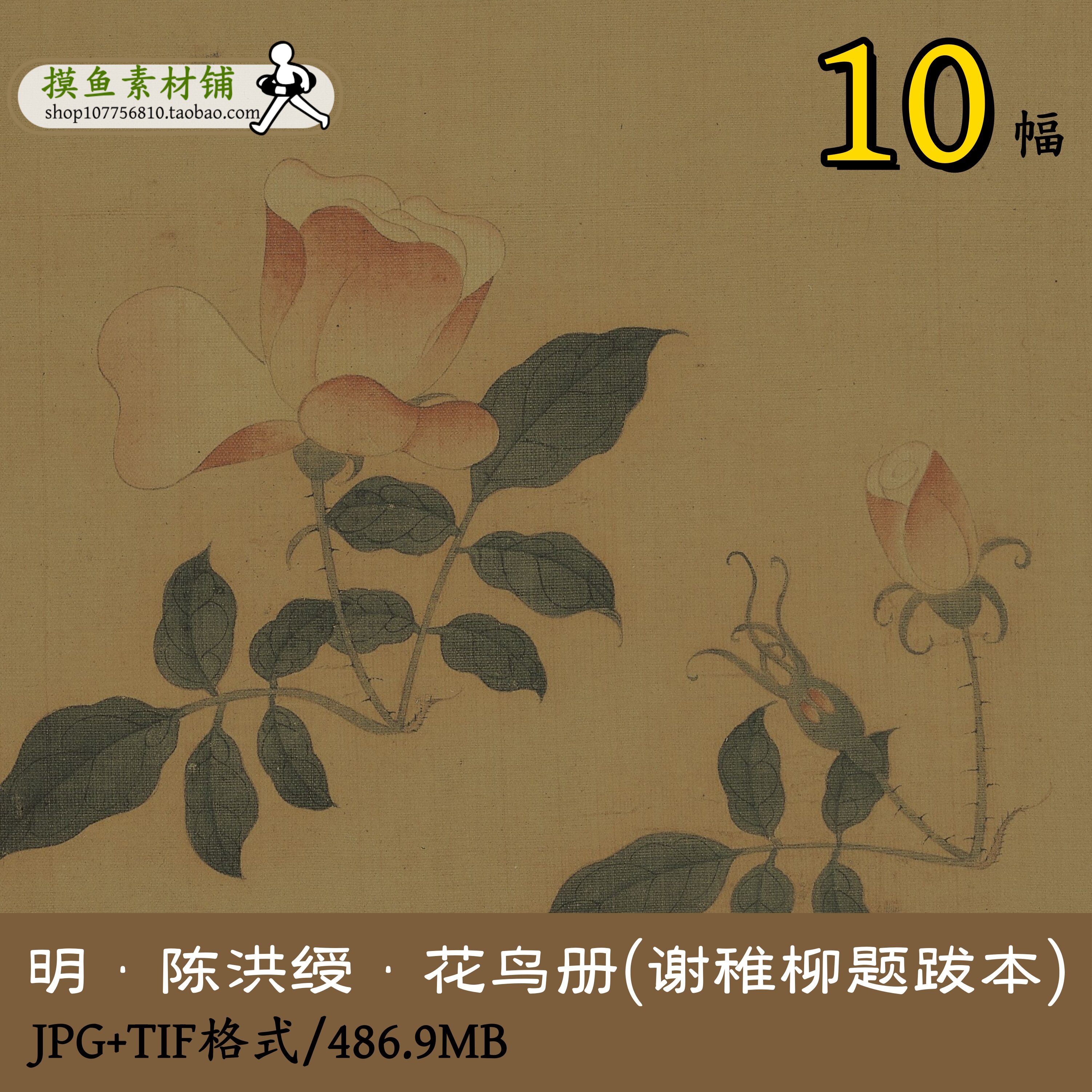 明陈洪绶花鸟册(谢稚柳题跋本)国画工笔画集绘画集花卉TIFgd10111