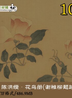 明陈洪绶花鸟册(谢稚柳题跋本)国画工笔画集绘画集花卉TIFgd10111