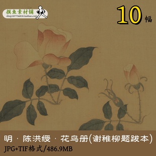 gd10111明陈洪绶花鸟册(谢稚柳题跋本)