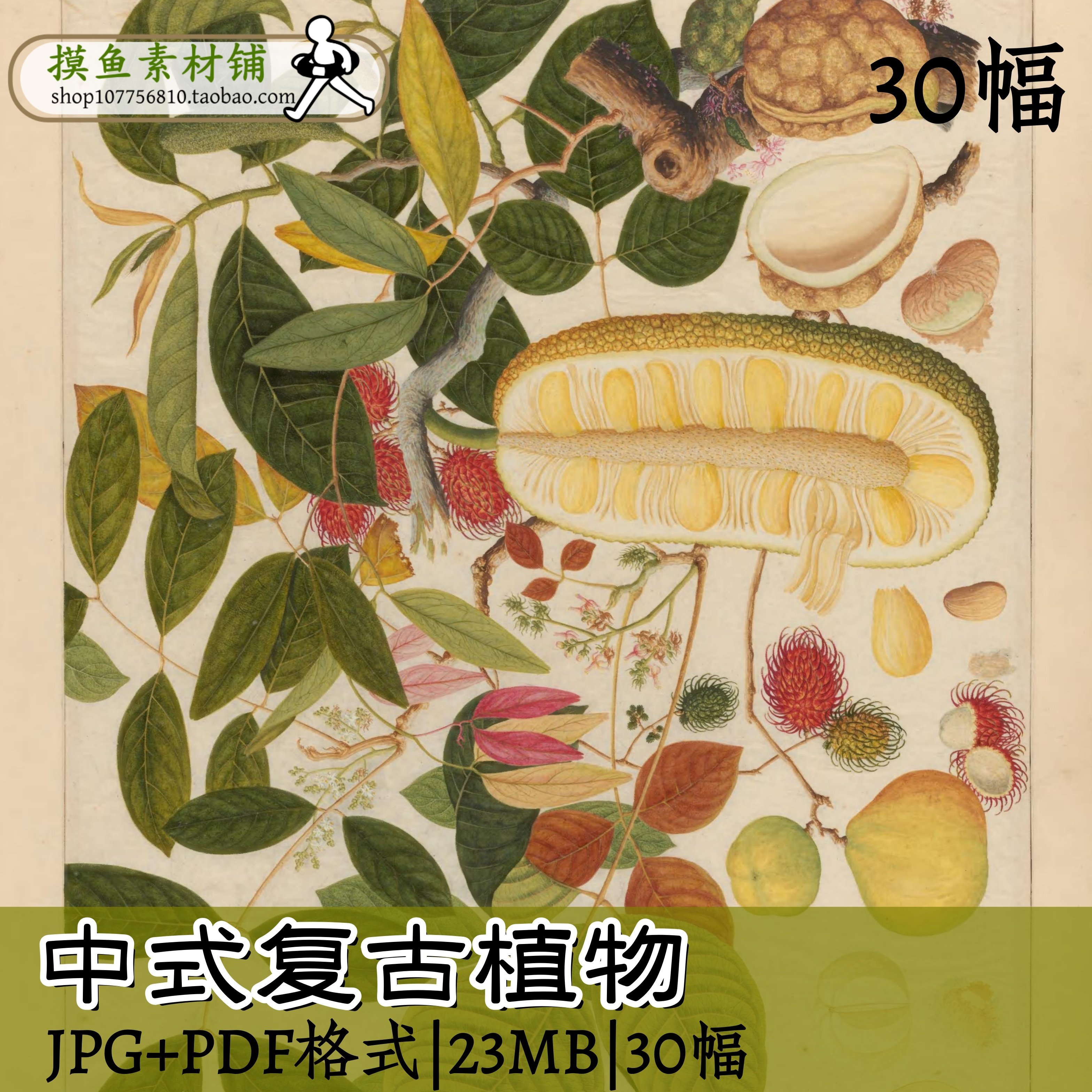 zc106中式复古植物,商务/设计服务,设计素材/源文件,淘宝优惠券,粉丝福利购,淘宝优惠卷