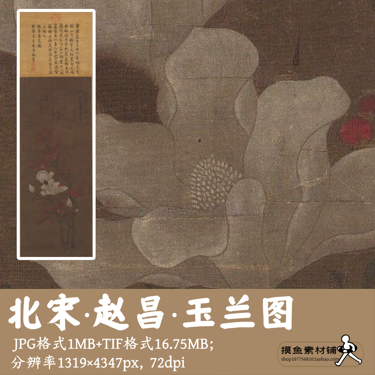 赵昌玉兰图电子图片/国画工笔画素材花卉花鸟图古画原图g14217