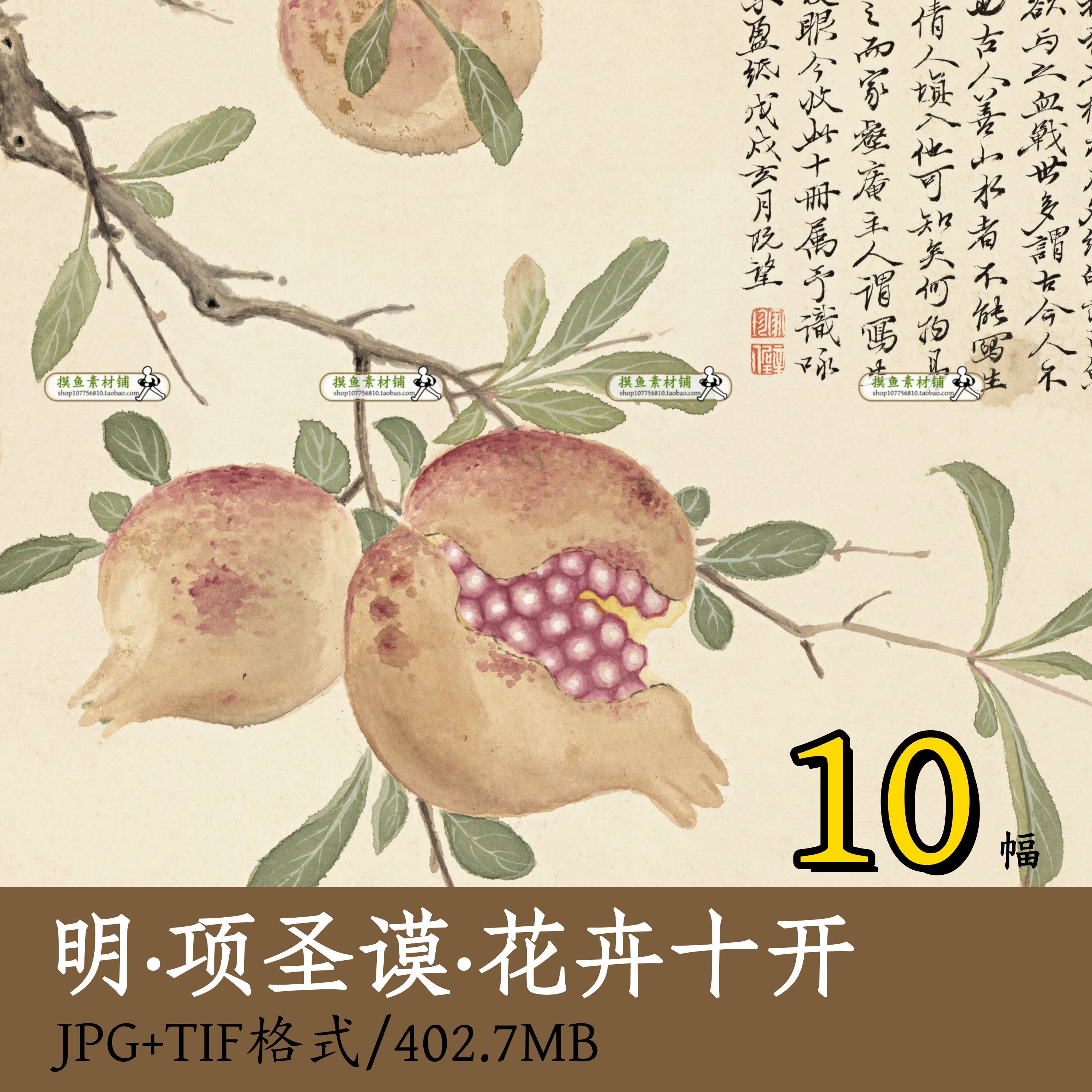 明代项圣谟花卉十开/传统艺术写生没骨花卉莲蓬藕图电子版tifz127