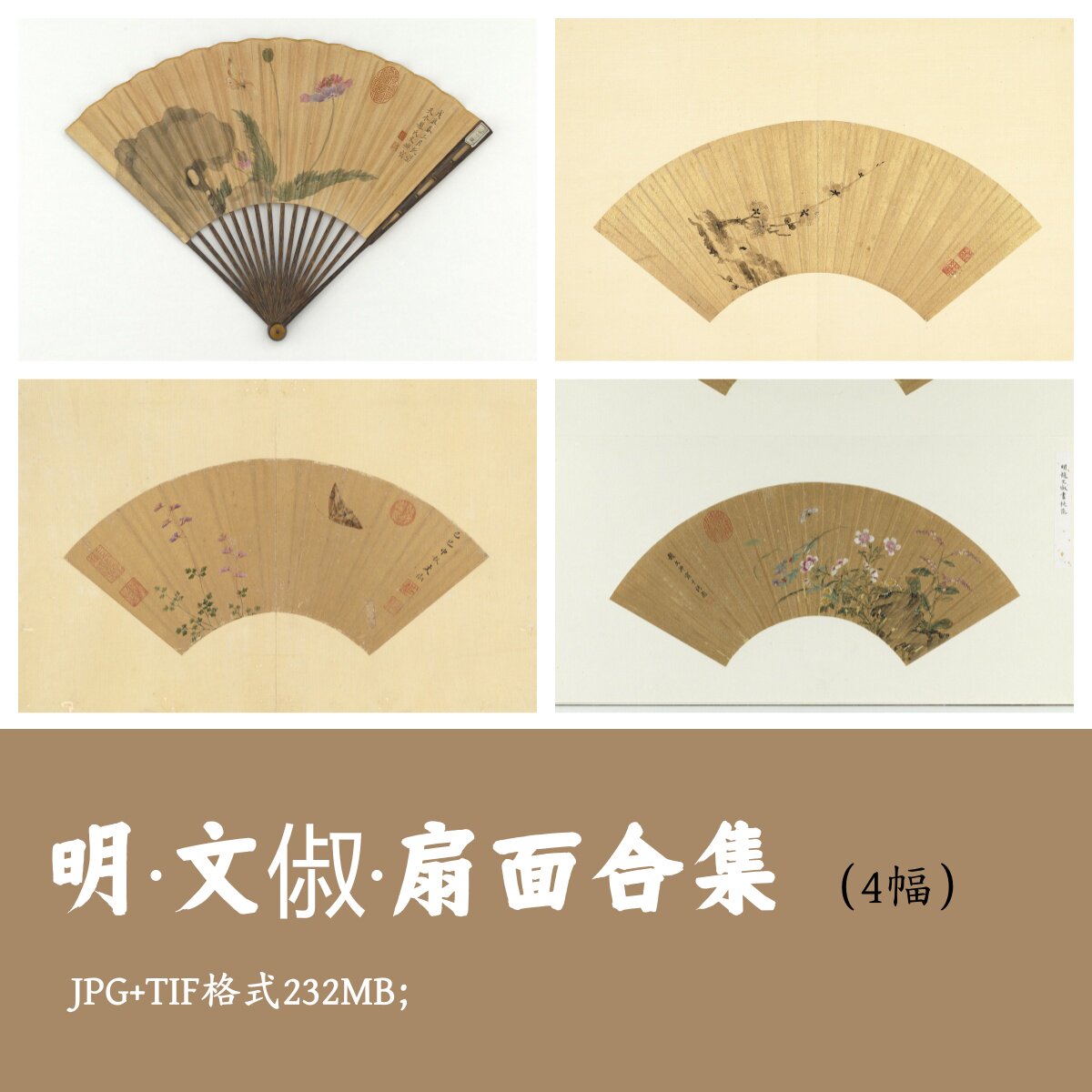 文俶扇面合集4幅/中国画扇子图折扇工笔画原图花鸟花卉图g1786