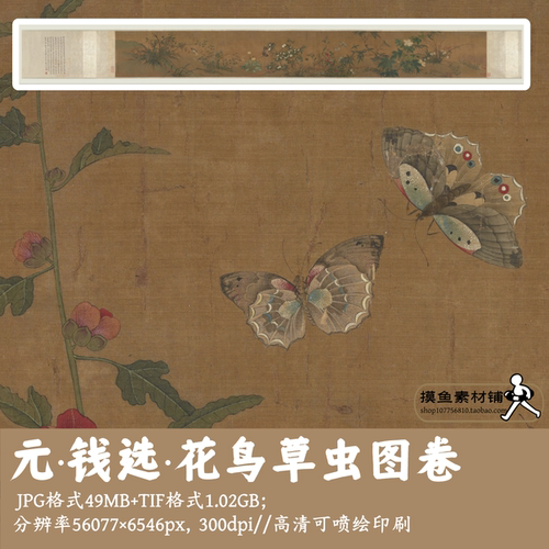 钱选/花鸟草虫图卷/中国画植物花卉工笔花鸟图装饰画电子版g17618