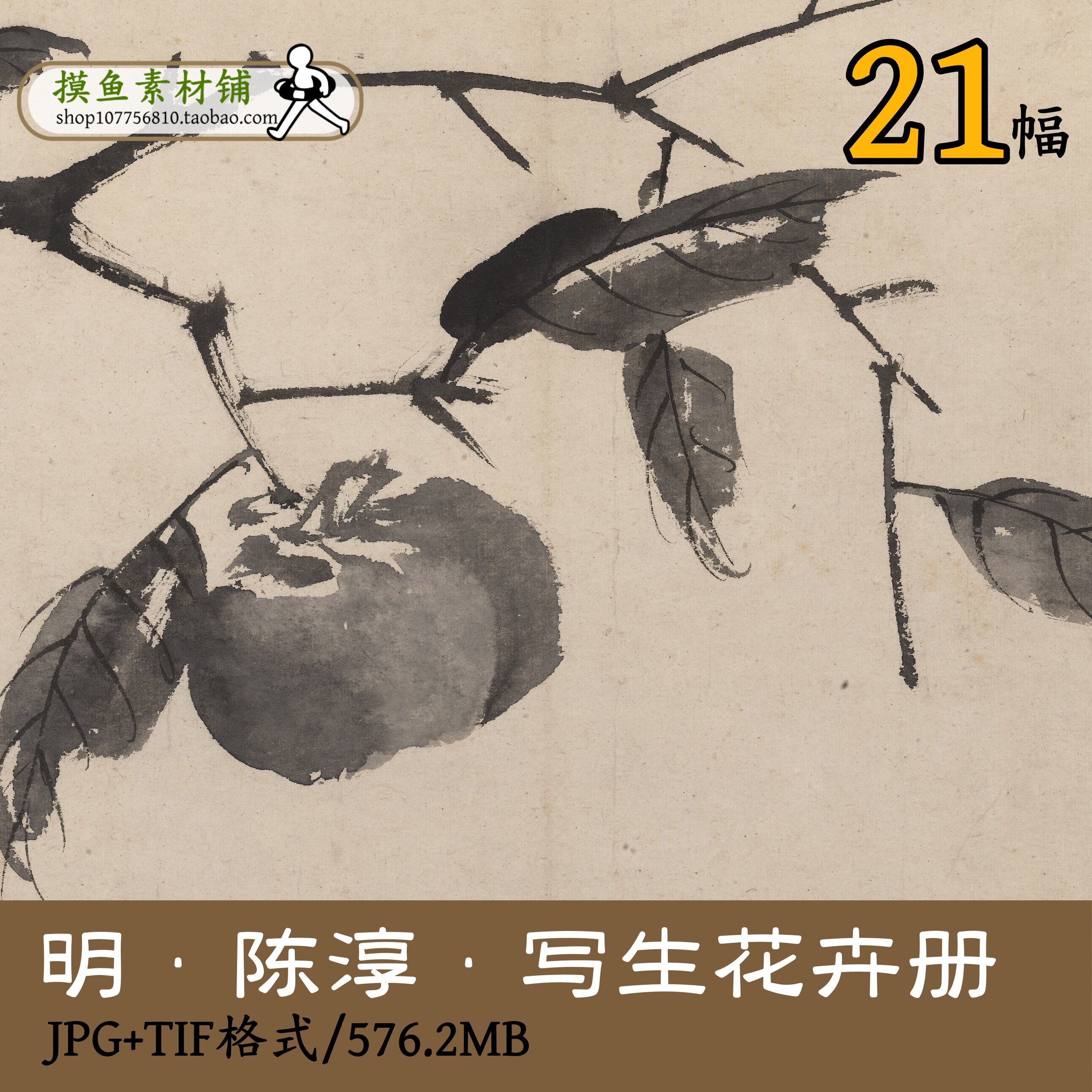 陈淳写生花卉册/高清国画名画集水墨画墨花图柿子JPG+TIFgd11703