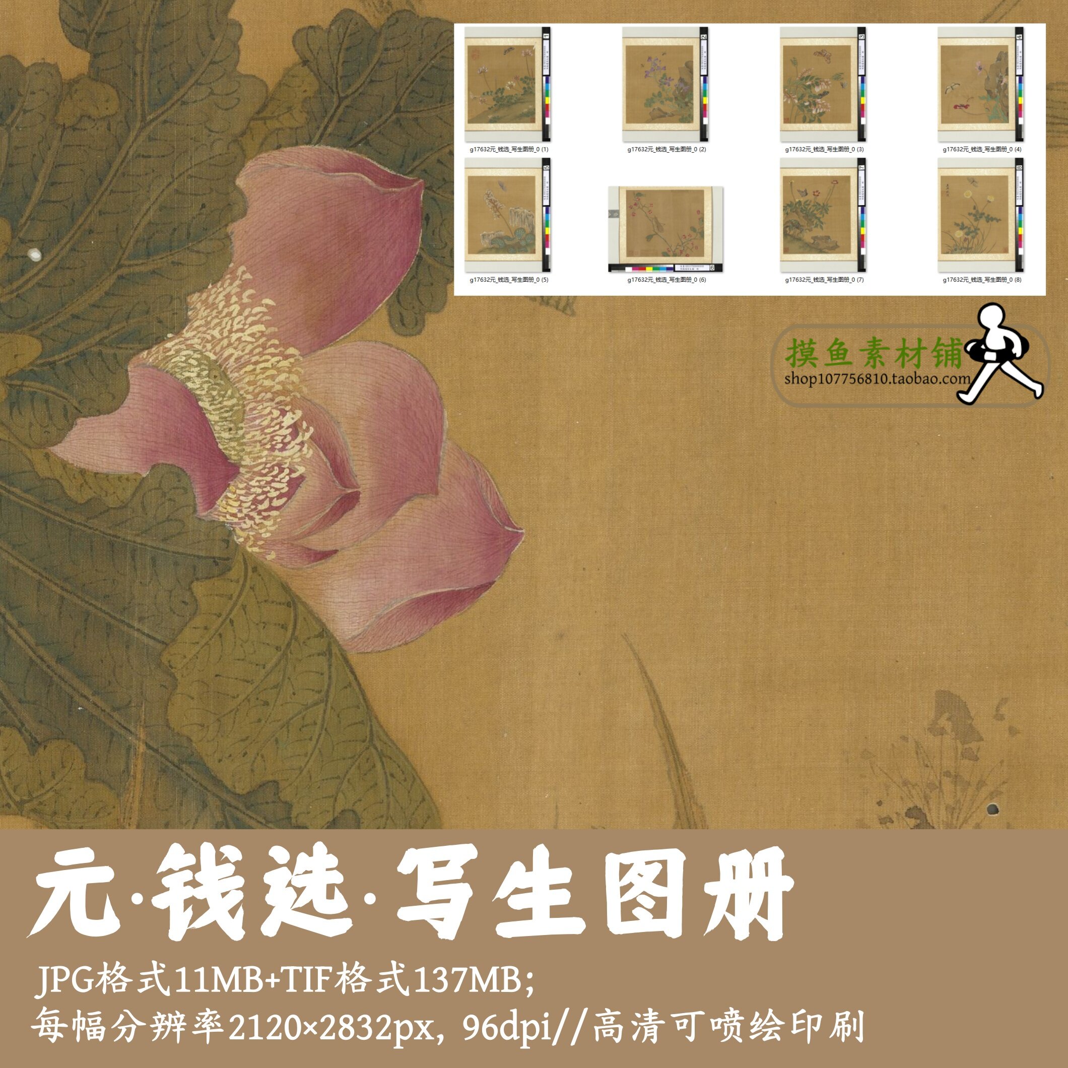 元钱选/写生图册/中国画写生花卉集电子版素材牡丹工笔花鸟g17632