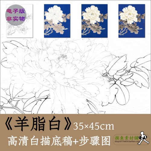 工笔牡丹图电子版勾线稿非实物 中国画白牡丹石青临摹羊脂白x084