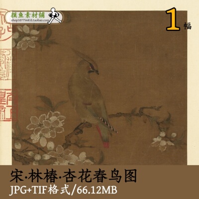 宋代林椿杏花春鸟图/高清宋画传统国画花鸟图临摹设计素材gd13620