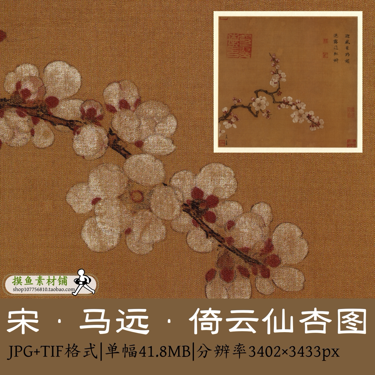 宋 马远 倚云仙杏图页/高清工笔花鸟杏花图古画原图素材电子版tif
