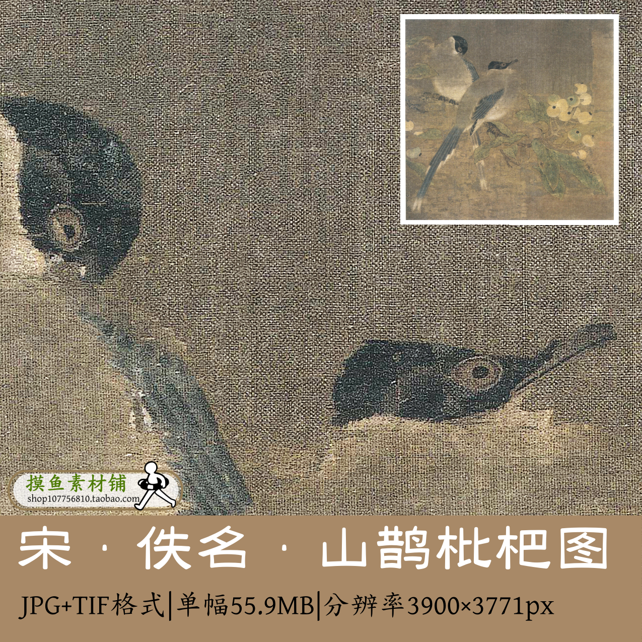 宋 佚名 山鹊枇杷图 绢本30X31cm宋画中国画花鸟图央美素材电子版