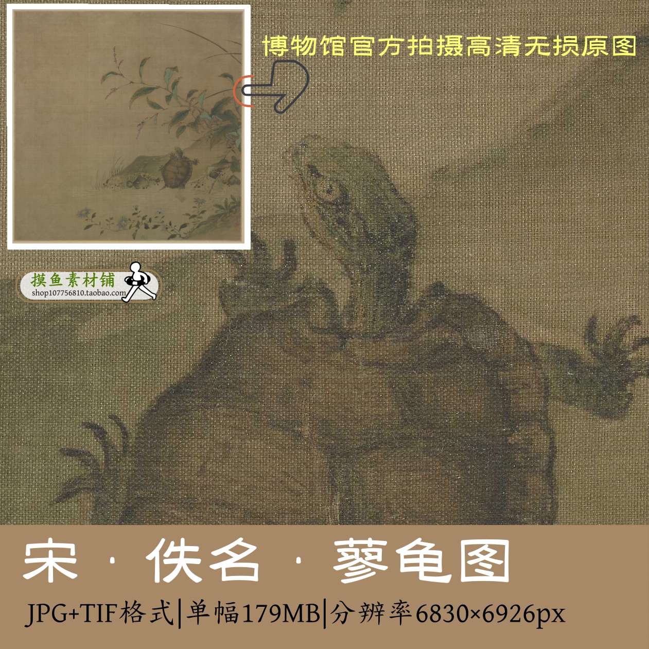 宋 佚名 蓼龟图58X57cm高清宋画宋代小品电子版素材国画乌龟红蓼