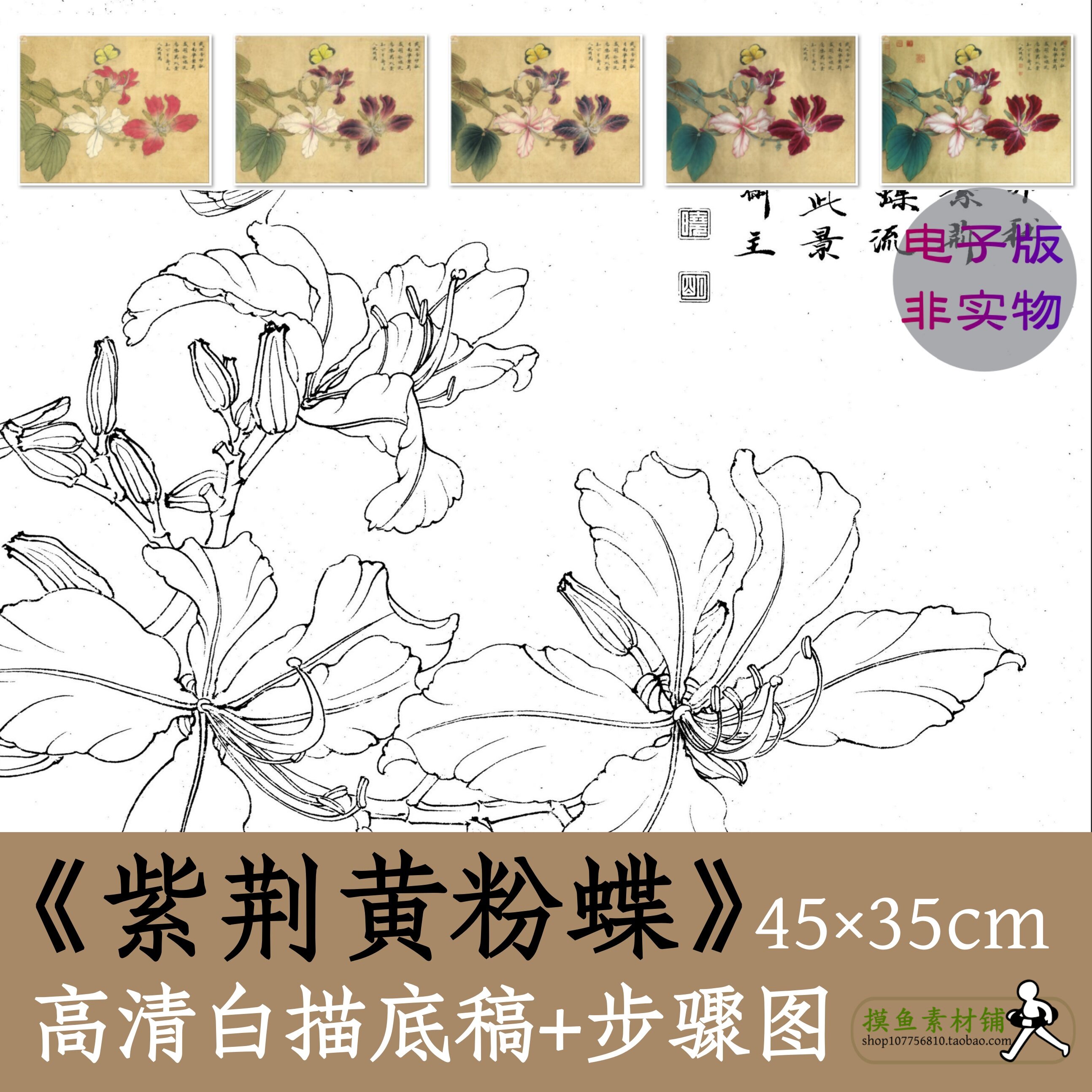 紫荆花蝴蝶图白描底稿电子版工笔画临摹素材带教程步骤图x090