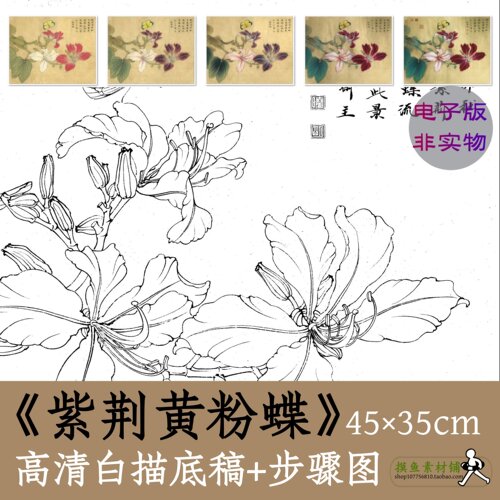 紫荆花蝴蝶图白描底稿电子版工笔画临摹素材带教程步骤图x090