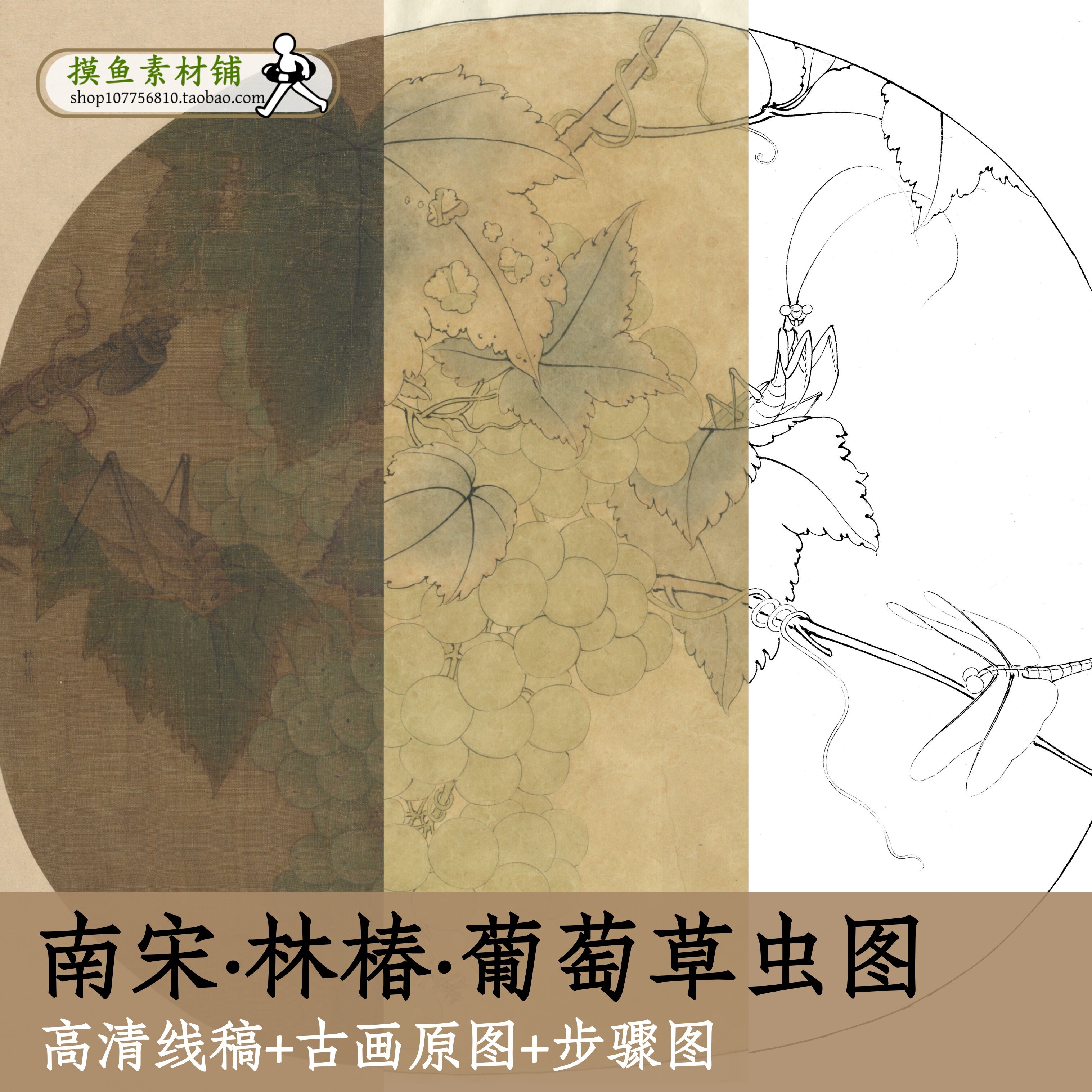 葡萄草虫宋画电子底稿+彩图+步骤图/白描勾线稿临摹素材参考x147