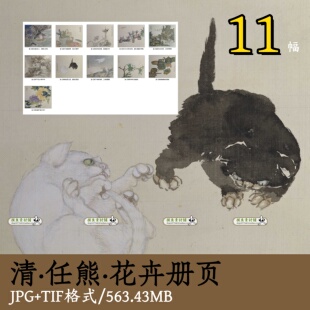 清代任熊花卉册页/国画小写意写生花卉动物猫狗花鸟临摹素材z101
