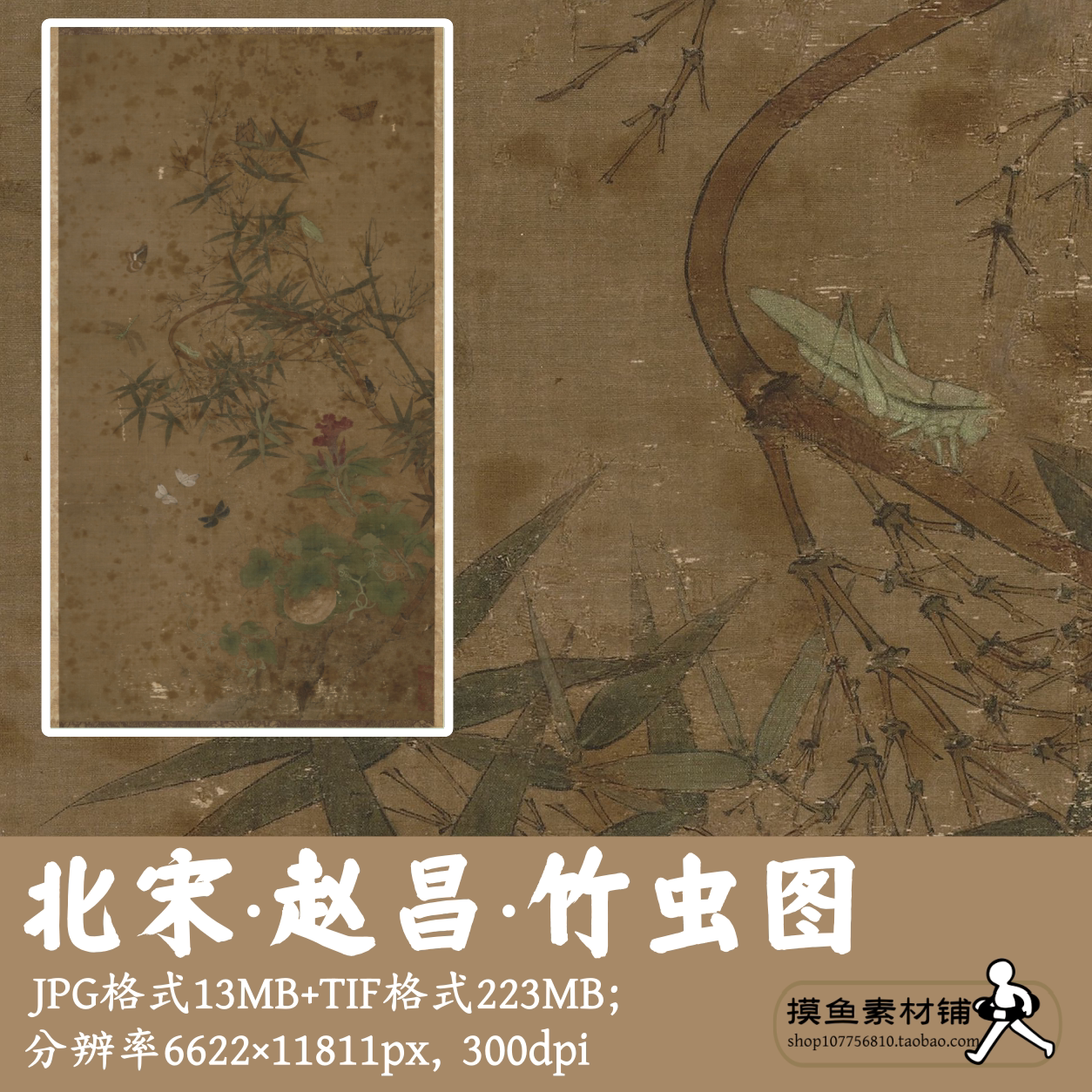 赵昌竹虫图电子版图片/原图保存不好/非高清 古画原图素材g14226