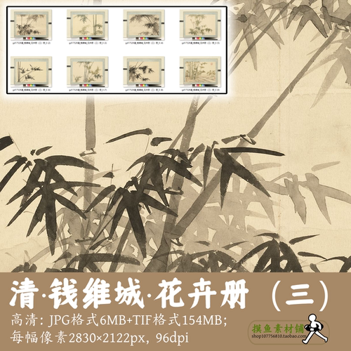 清钱维城/花卉册(第三册)中国画植物花卉图鉴竹子设计素材gd17529