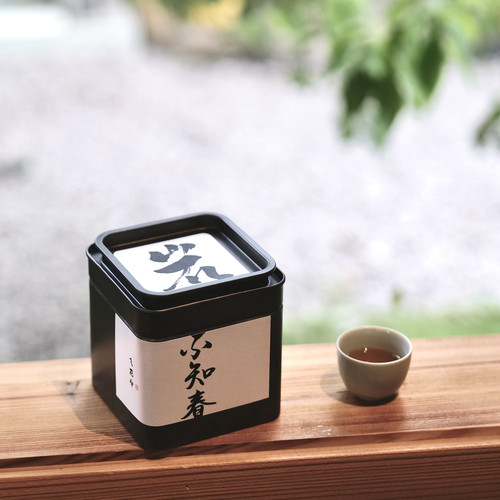 窥山大红袍高昂花香回甘好