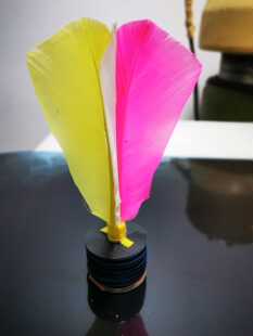 【见羽飞】牛皮底南派花毽 头层牛皮防水耐踢弹性适中易控毽