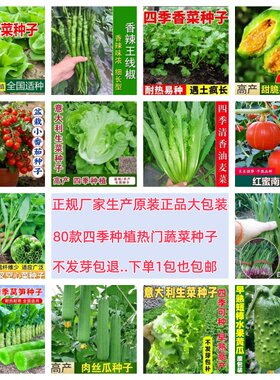 蔬菜种子生菜甜瓜黄瓜辣椒