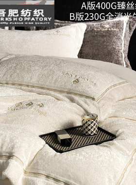 冬季轻奢风臻丝绒牛奶绒四件套刺绣高端防静电被套床品白灰色