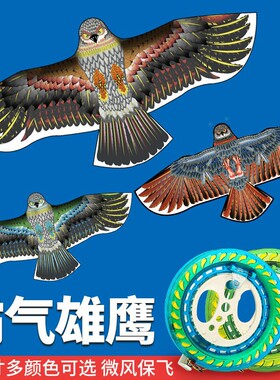 老鹰风筝儿童微风易飞成人摆摊2026年新款高端线轮盘潍坊风筝