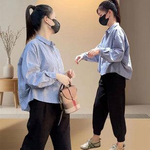 通勤条纹长袖衬衫女春秋2024新款设计感洋气衬衣百搭宽松显瘦上衣