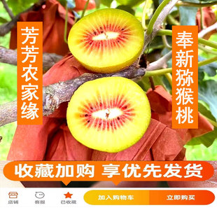 江西特产奉新红心猕猴桃新鲜水果包邮奇异果大果当季孕妇整箱5斤