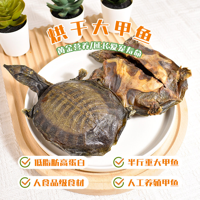 宠物零食烘干整只甲鱼中大型狗狗拉布拉多幼犬成犬磨牙棒风干甲鱼,宠物/宠物食品及用品,狗磨牙棒/洁齿骨/咬胶,淘宝优惠券,粉丝福利购,淘宝优惠卷