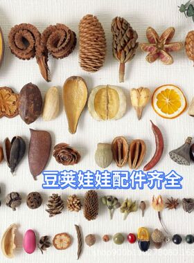 天然干花豆荚果壳DIY材料包