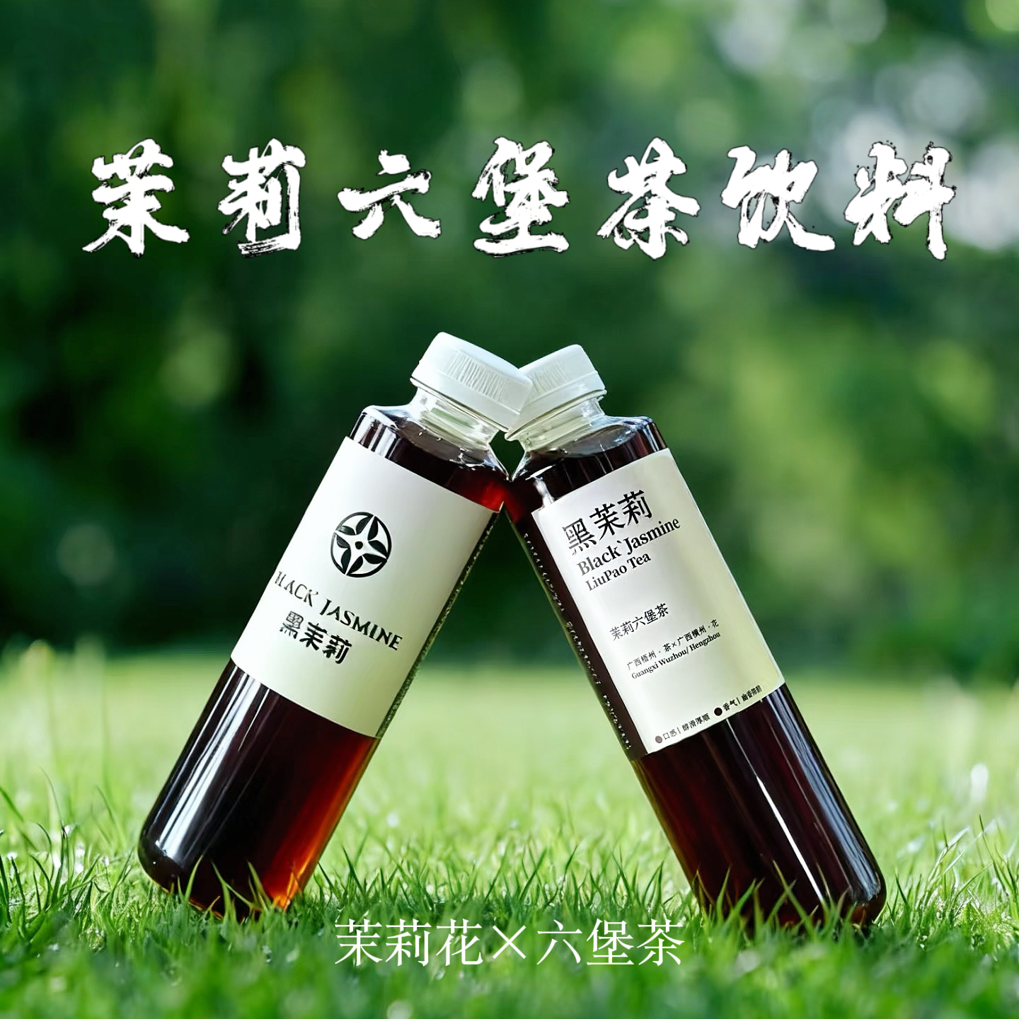 源头厂家直发红薯同款黑茉莉饮料