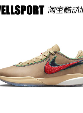 NIKE LEBRON XXI EP 低帮ZOOM减震耐磨实战篮球鞋 DV9089-200