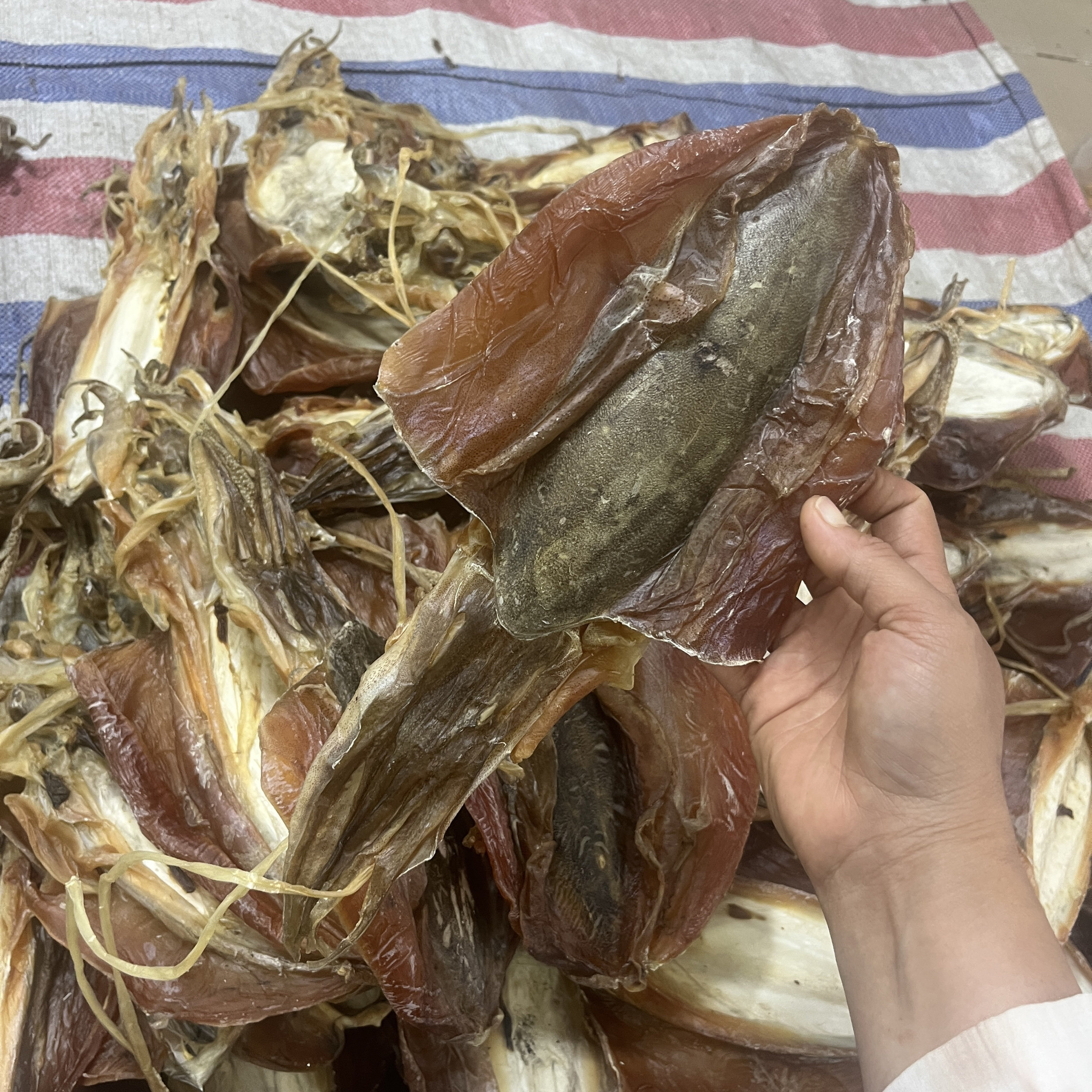 北海血墨特产船胸无盐墨鱼干纯淡干生晒煲汤墨斗鱼干大血墨送礼图片