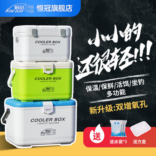 户外车载露营便携式迷你保鲜箱
