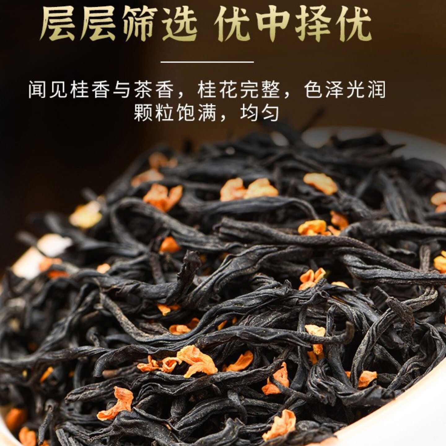 福建安溪桂花红茶新茶正山小种