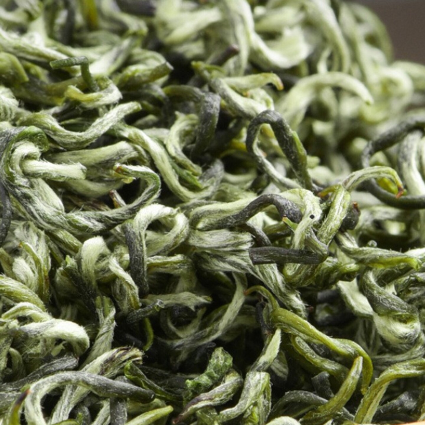 早春茶叶甘露绿茶碧螺春新茶叶