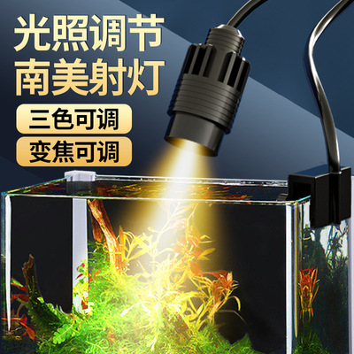 南美缸LED鱼缸南美造景射灯水族水草灯夹灯观赏鱼筒灯可调焦射灯