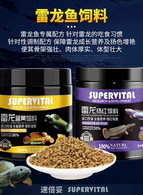 速倍妥雷龙鱼饲料阿萨姆眼镜蛇