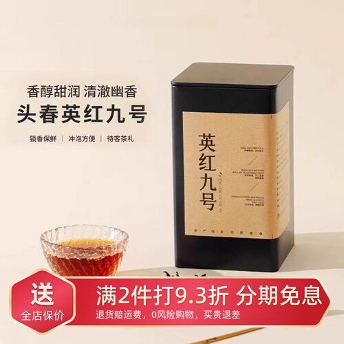 魏大师英德高山特级英红九号茶叶