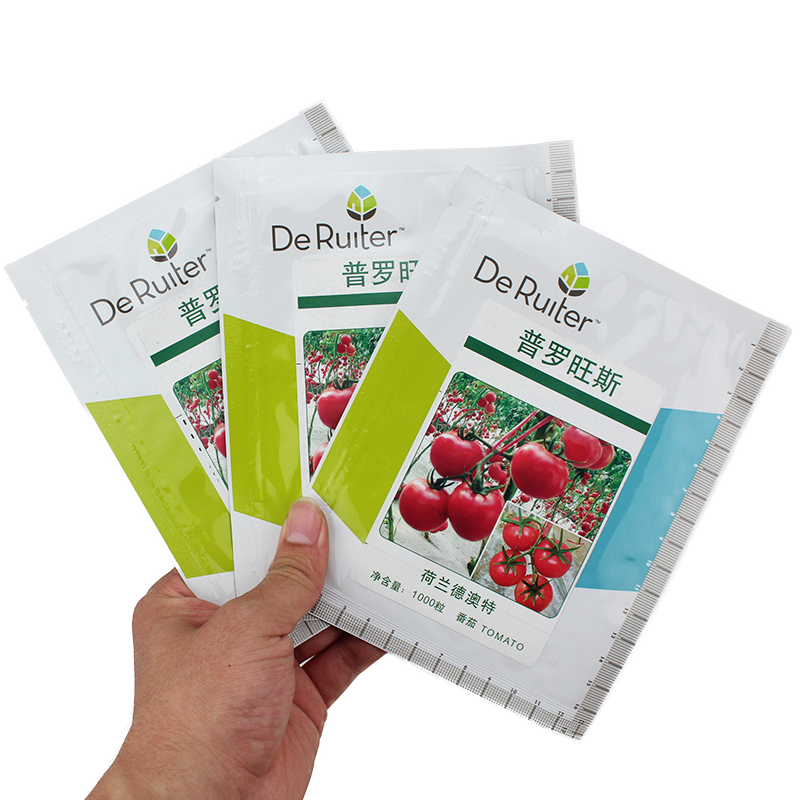 普罗旺斯番茄种子苗大粉果西红柿种籽沙壤春季秋季四季蔬菜水果孑