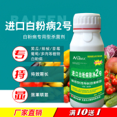 白粉病除净2号进口杀菌剂 花卉多肉番茄黄瓜草莓葡萄白粉病专用药
