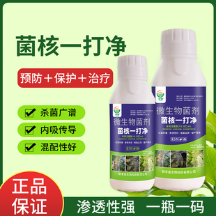 菌核病一打净油菜菌核病菌核杆腐病杀菌剂向日葵甜瓜桑葚菌核病药