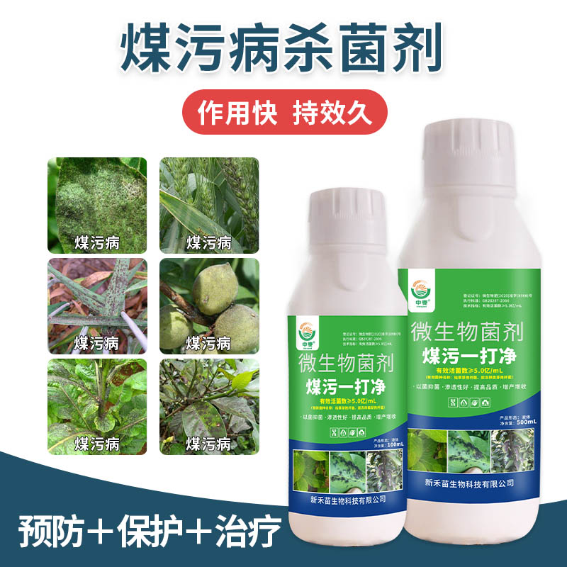 煤污病一打净柑橘煤污病杀菌剂专用果树砂糖橘柚子花卉煤烟病正品