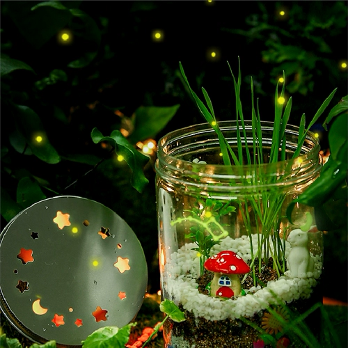 Steam, таинственная игрушка для детского сада для выращивания растений для экспериментов, наука