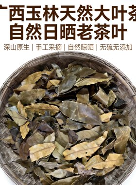 玉林大叶茶非遗手工古法茶|醇厚回甘耐泡普洱选品|大排档茶叶