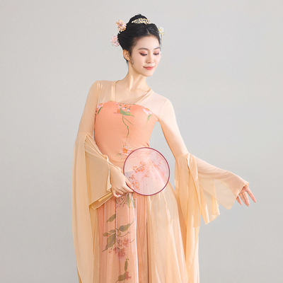 古典舞蹈服女飘逸古风汉唐舞蹈服