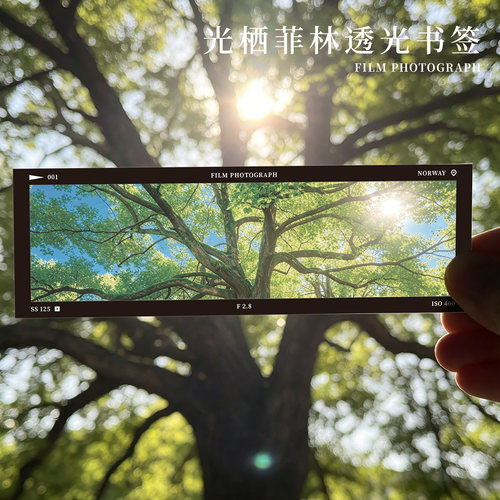 【复古胶片】林荫岁光书签电影感文创透光夏日浪漫摄影雪山氛围感pvc光影学生文艺青年高颜值阅读书页夹礼物